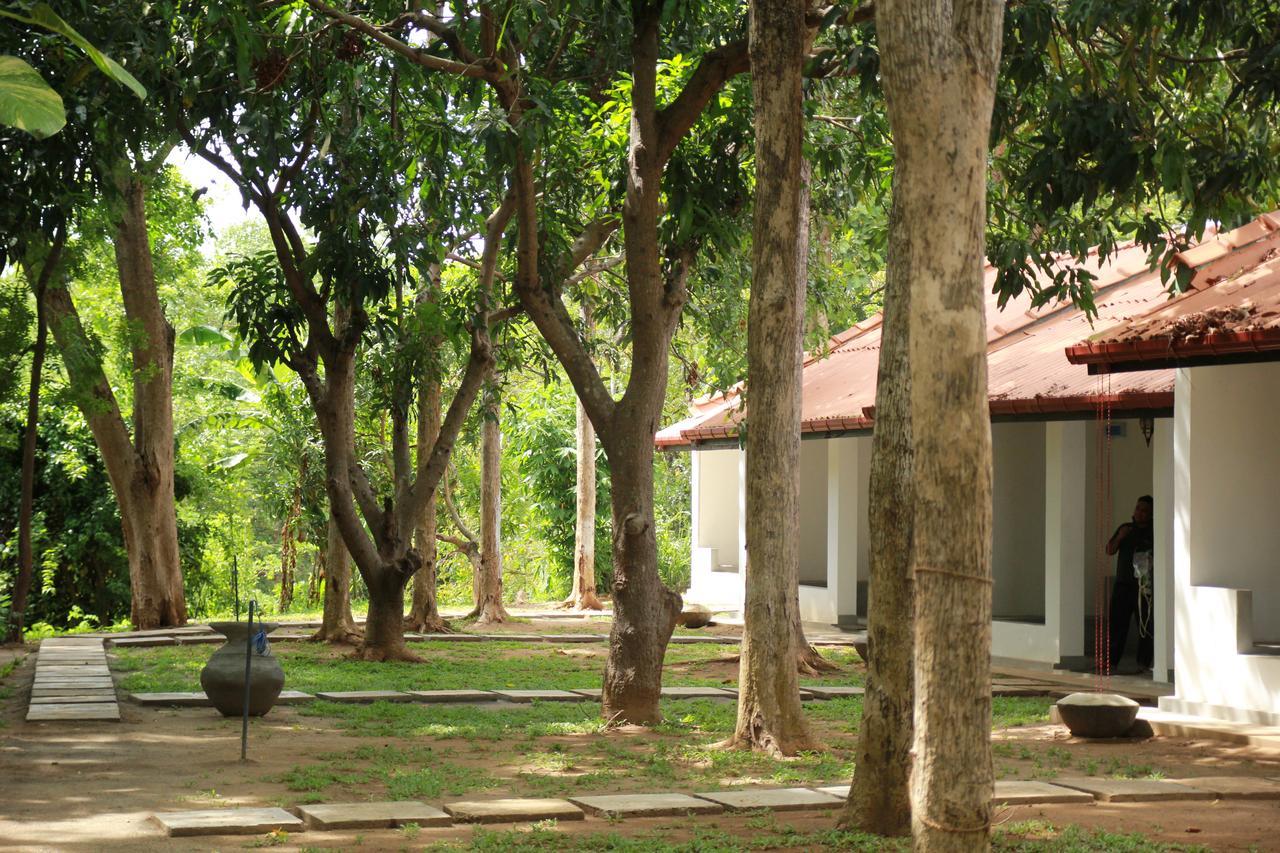 Dambulu Oya Family Park Hotel Dambulla Exterior foto