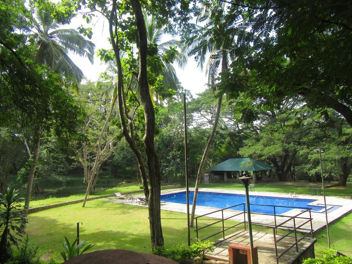 Dambulu Oya Family Park Hotel Dambulla Exterior foto