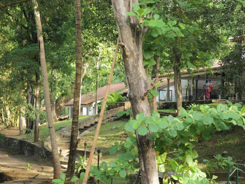 Dambulu Oya Family Park Hotel Dambulla Exterior foto