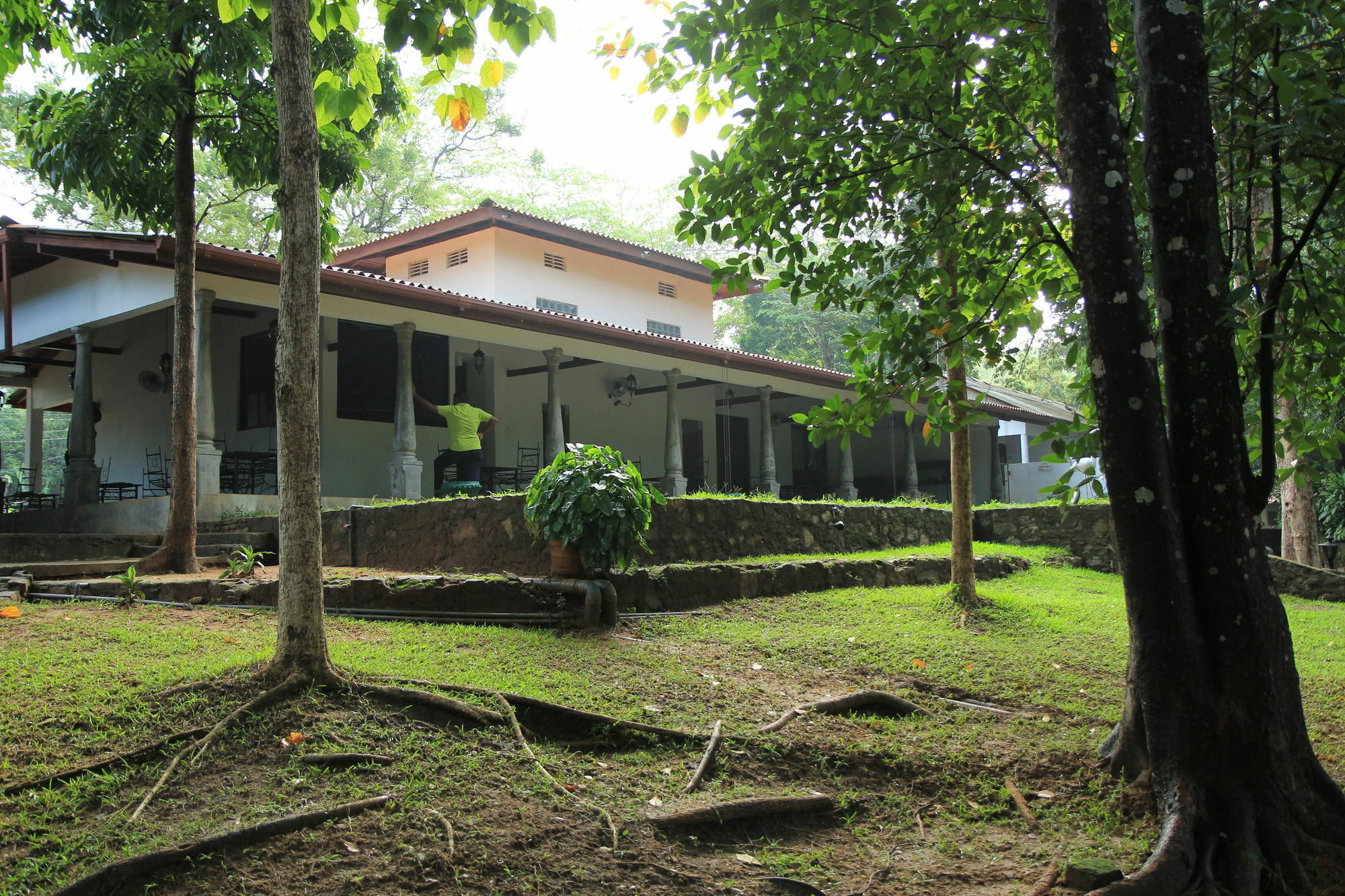 Dambulu Oya Family Park Hotel Dambulla Exterior foto