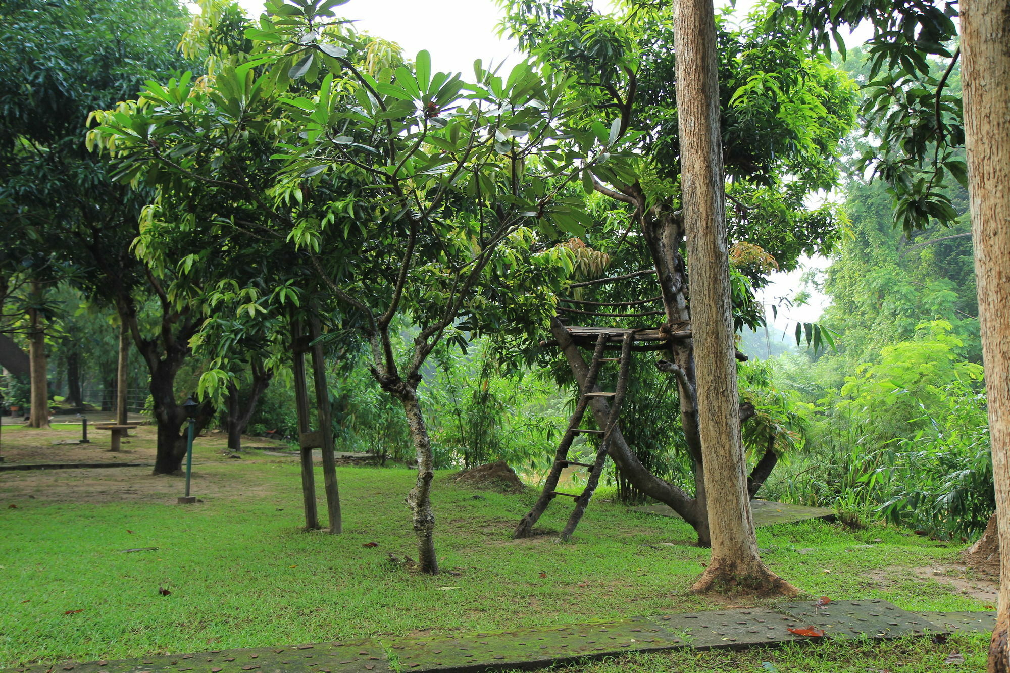Dambulu Oya Family Park Hotel Dambulla Exterior foto